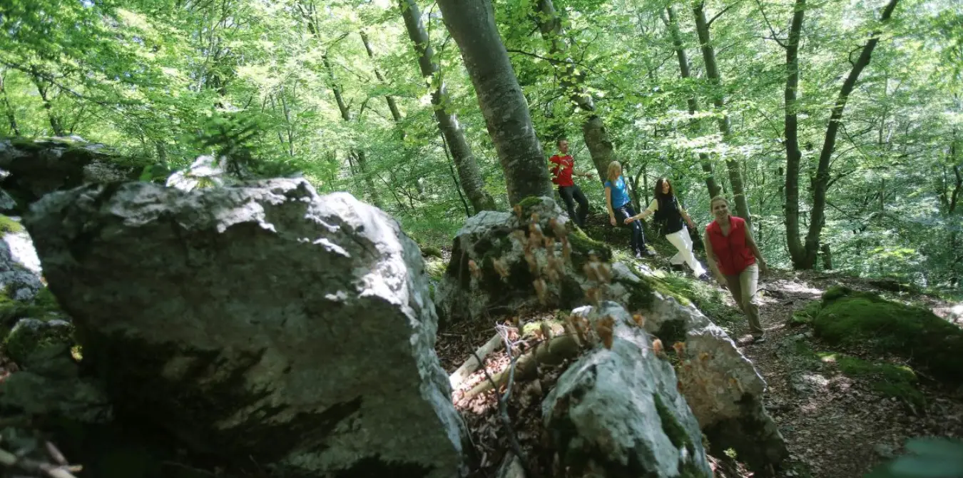 5 urige Wanderungen auf der Schwäbischen Alb um Bad Urach - Baden Württemberg