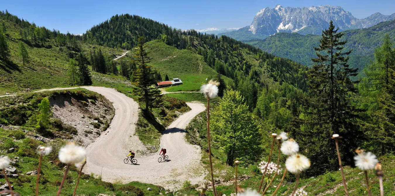 Reit im Winkel Mountainbiken