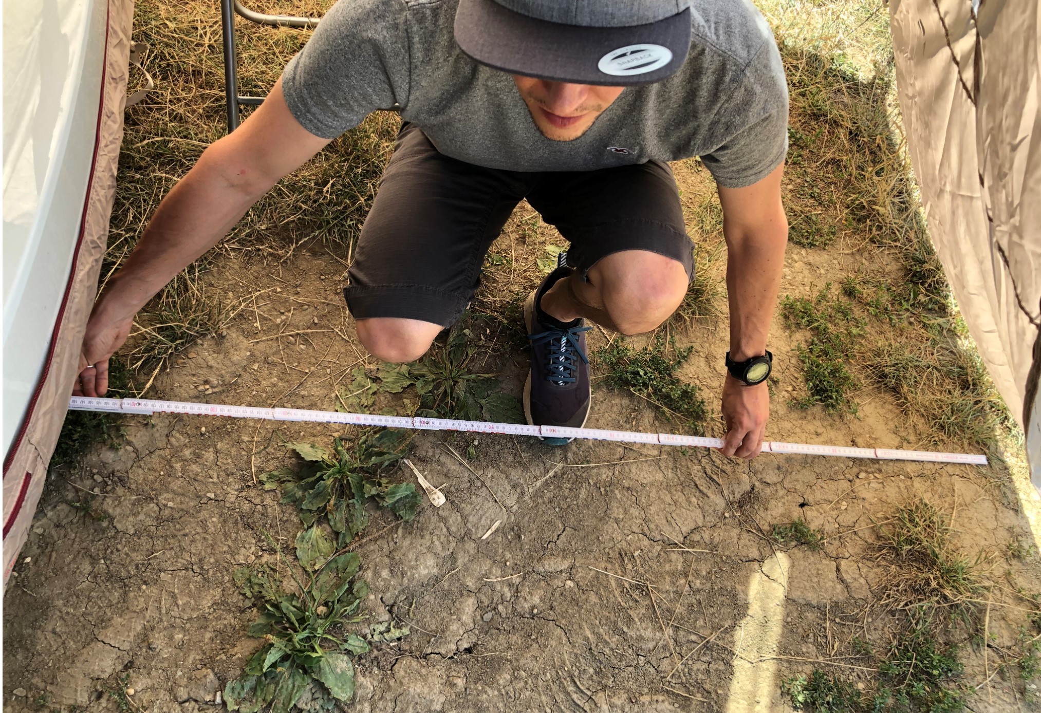 ca. 1,50 m