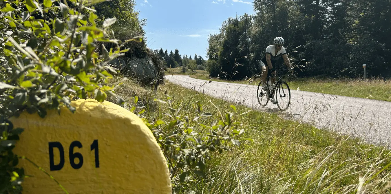 Gravelbike und Rennradtouren im Elsass