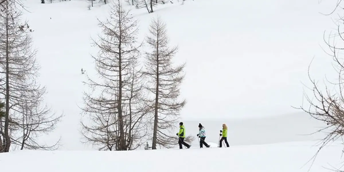 Gemütlich Schritt um Schritt durch den Schnee stapfen und die Natur genießen - Schneeschuhwanderungen sind die entspannte Alternative zum hektischen Wintersport.