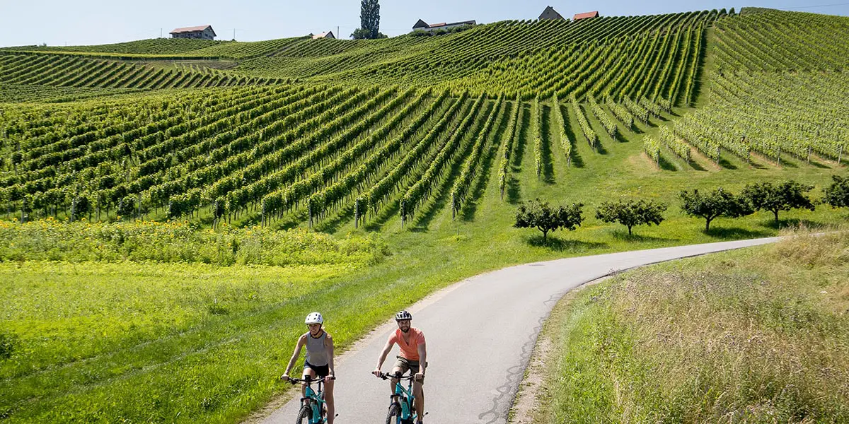 Südsteiermark Radtouren_Tom Lamm