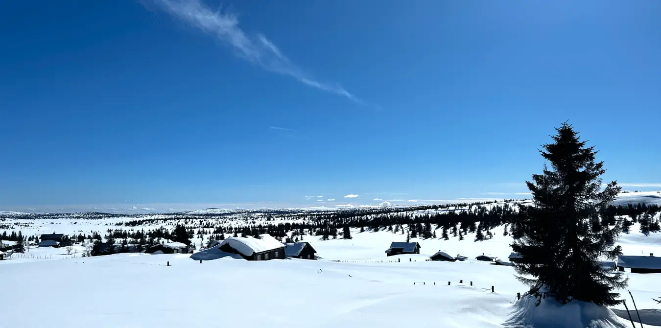 Sjusjoen - Langlaufen - Norwegen