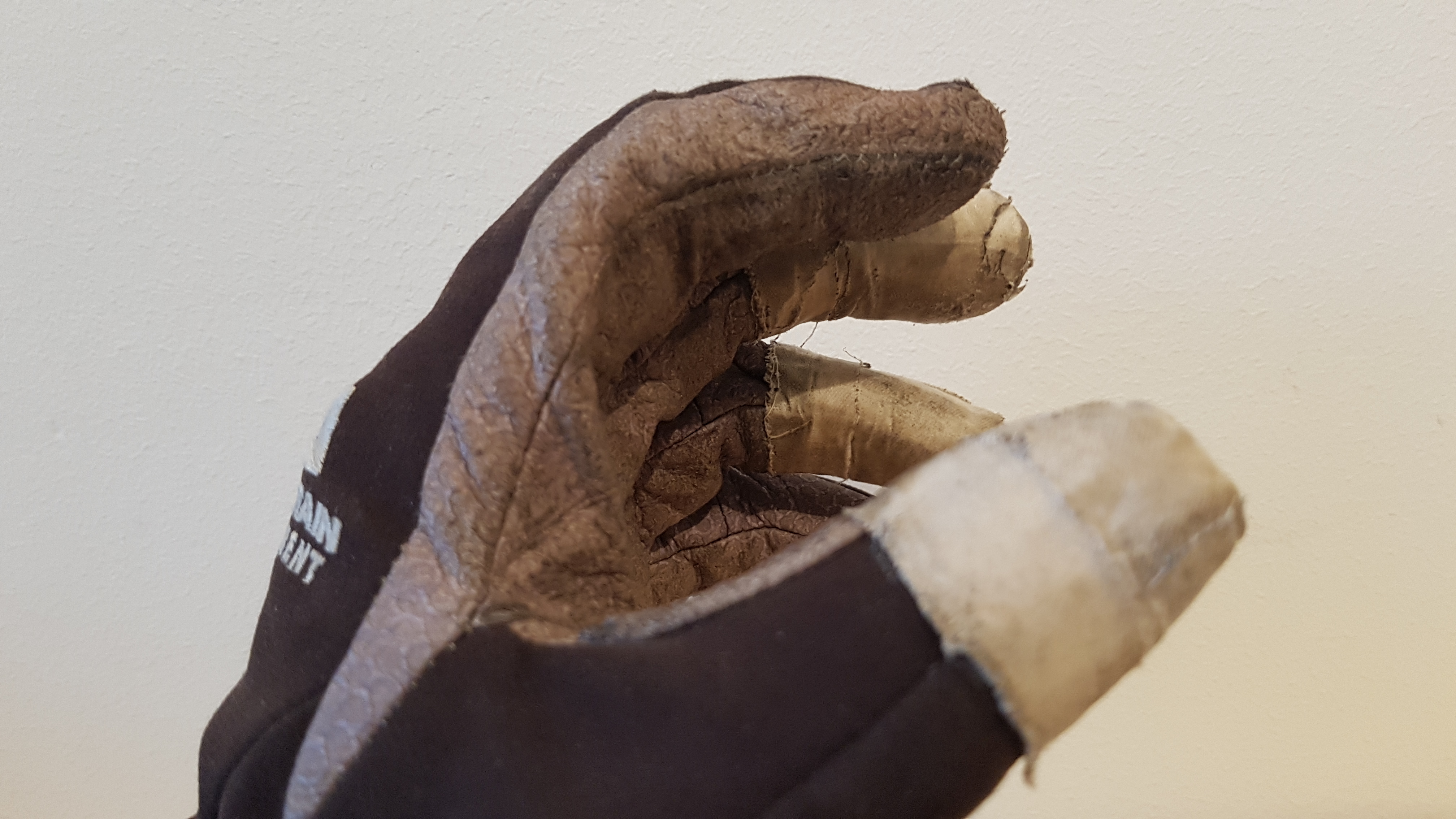 Handschuhdaumen