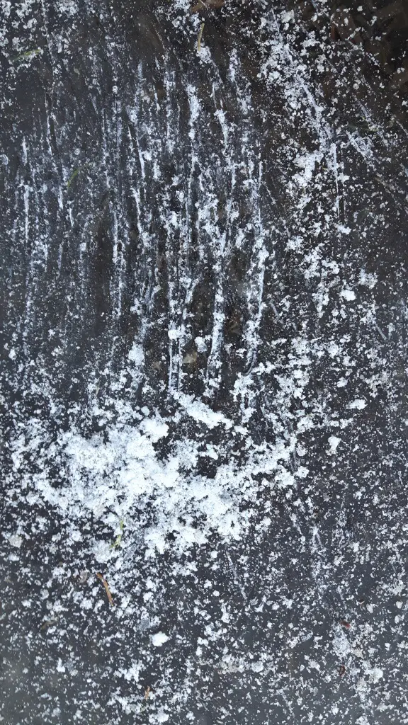 Eis