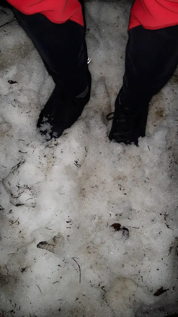 Schneematsch