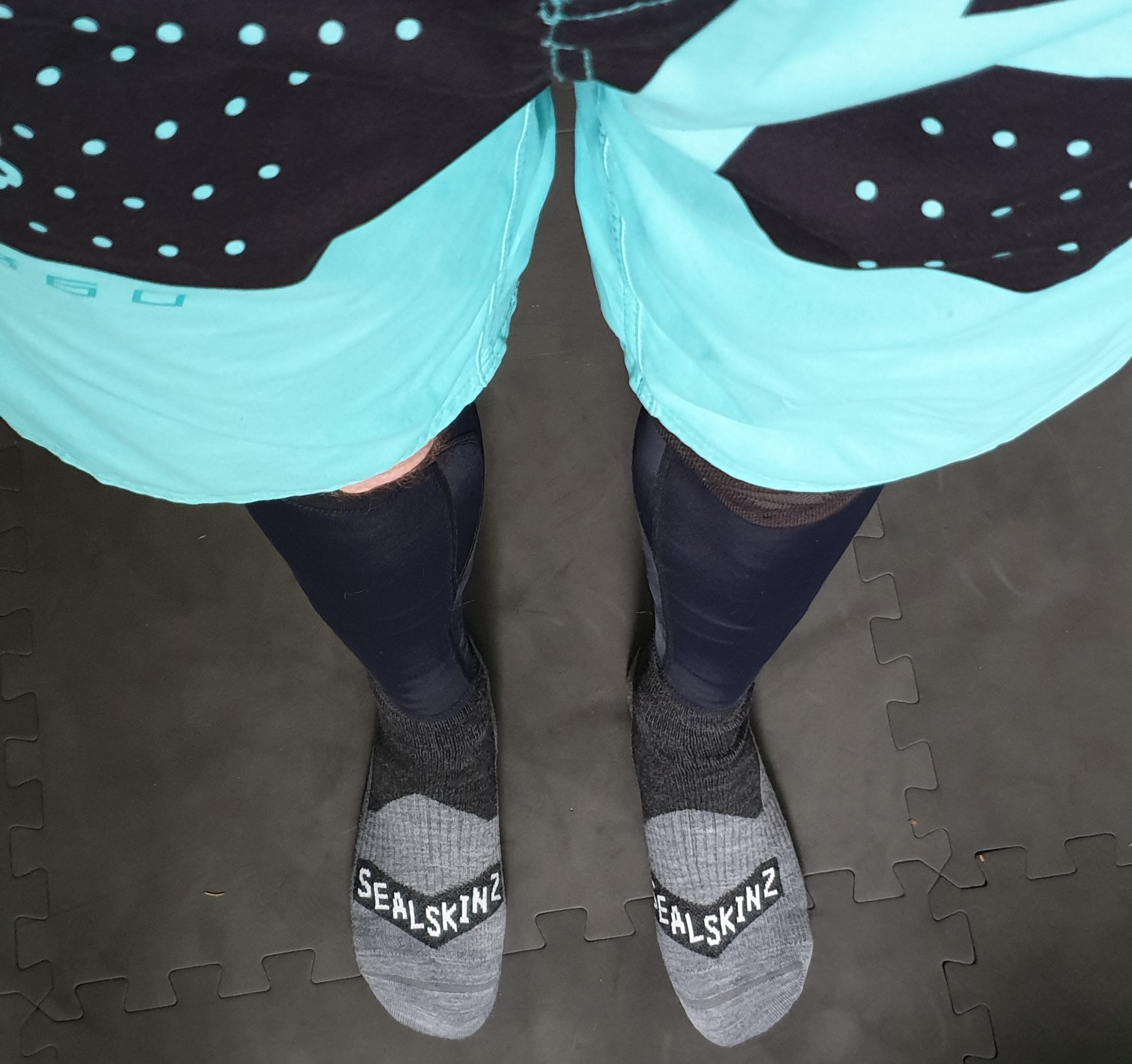 sealskinz