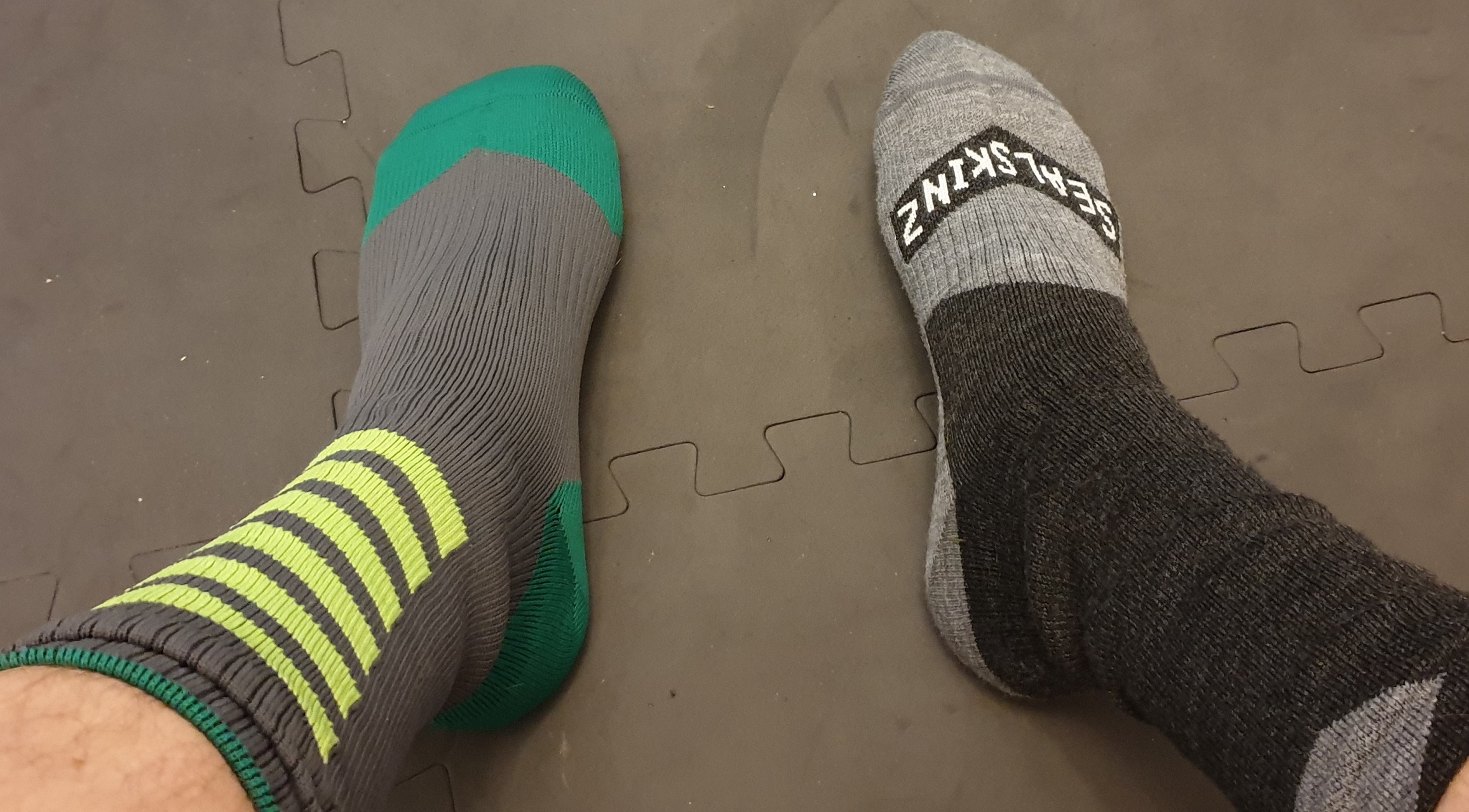 sealskinz