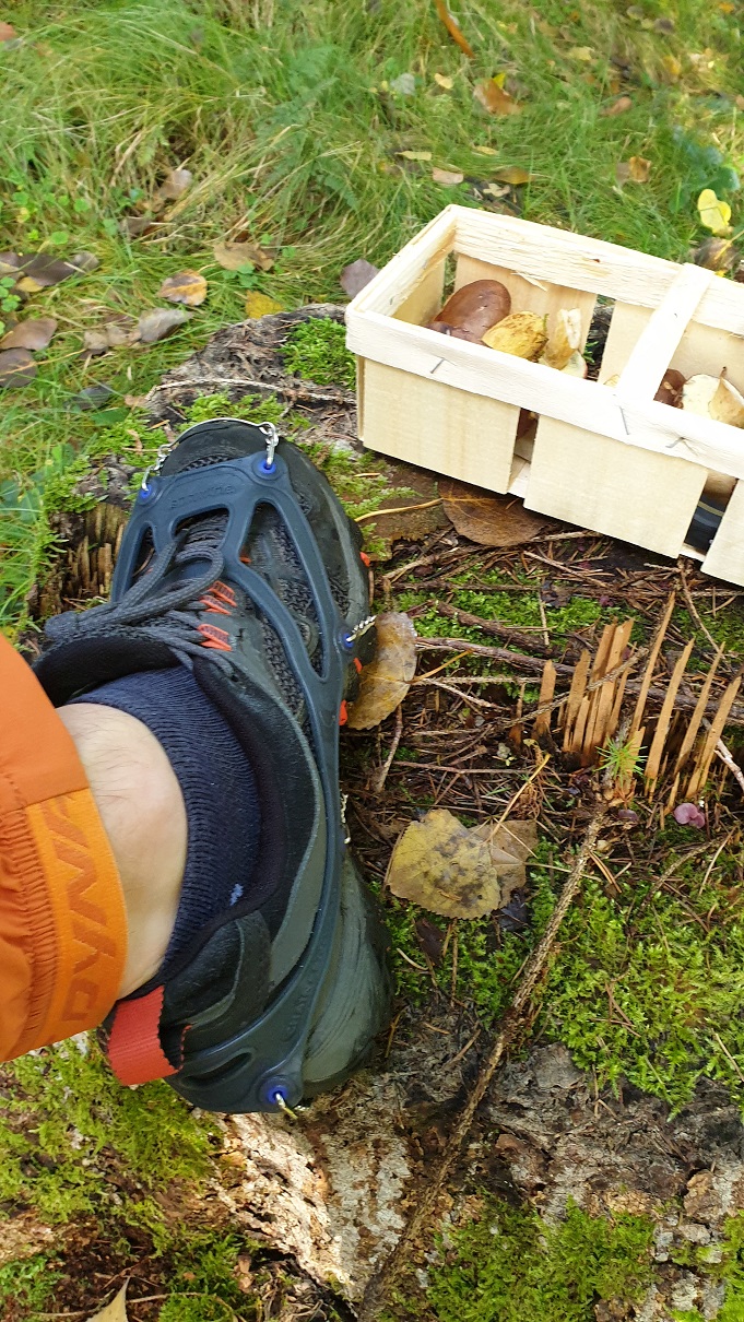 grödeln