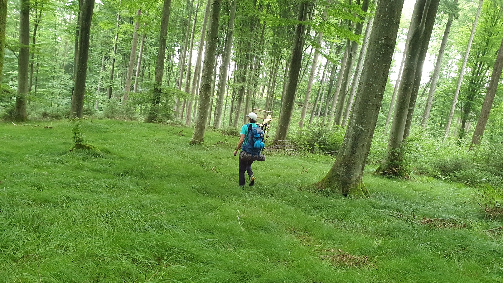Terra Peak - Flex 40