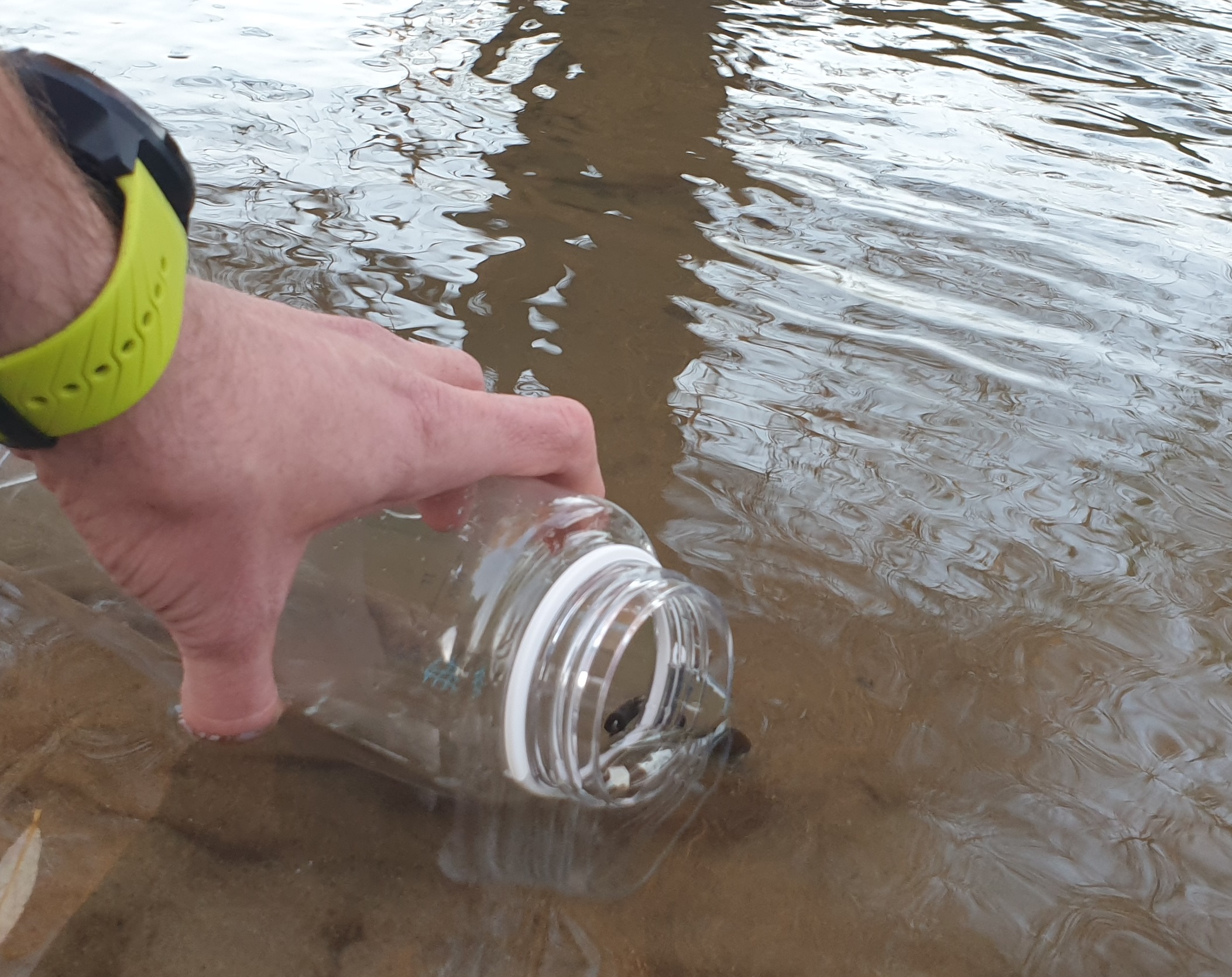 Lifestraw - Go 1-Liter