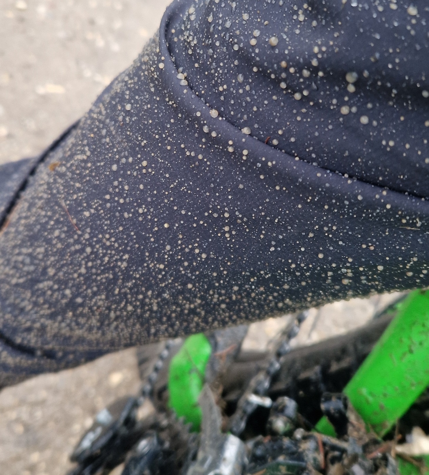 Löffler - Bike Overpants WPM-3