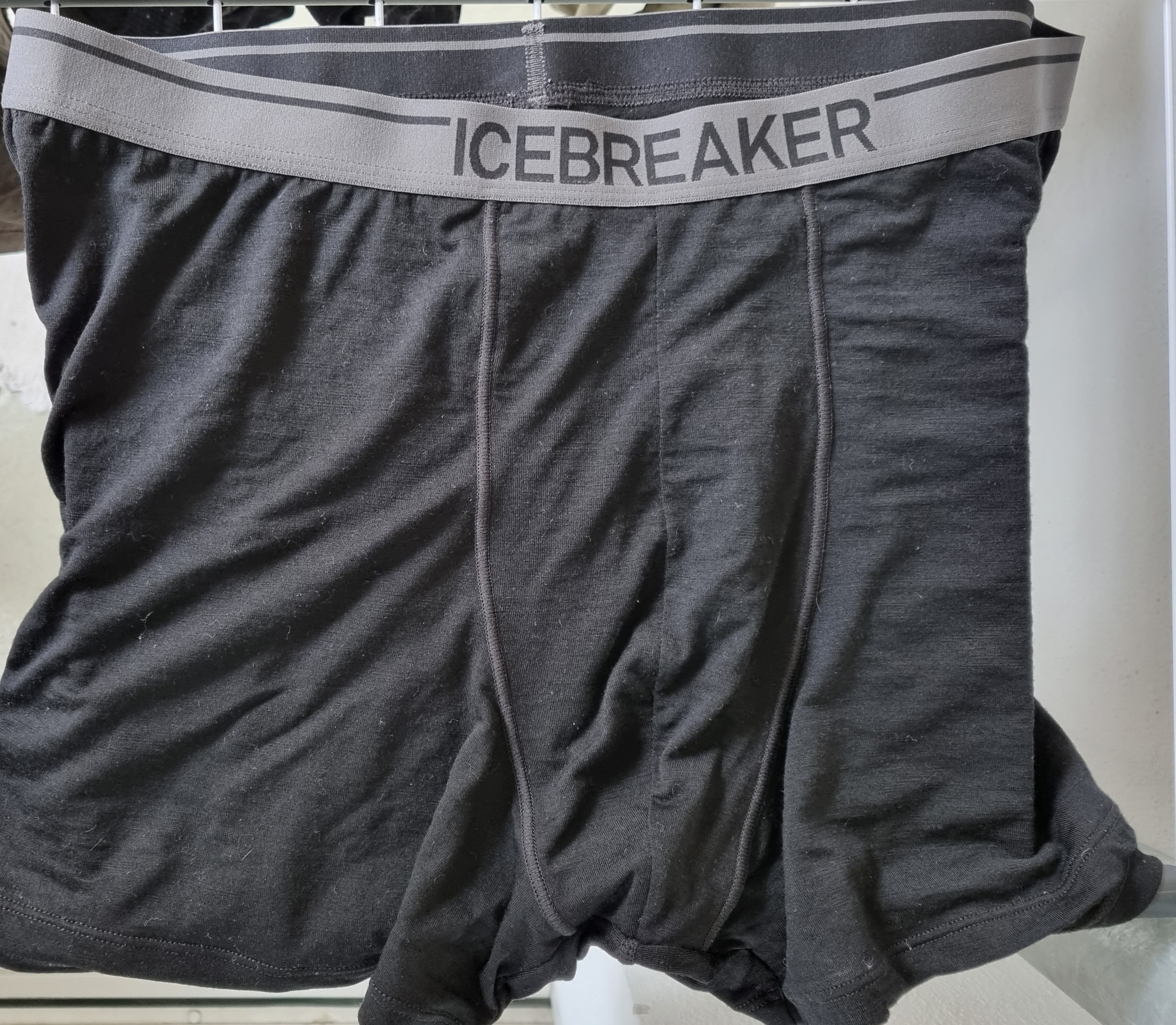 Icebreaker Anotomica "normal"