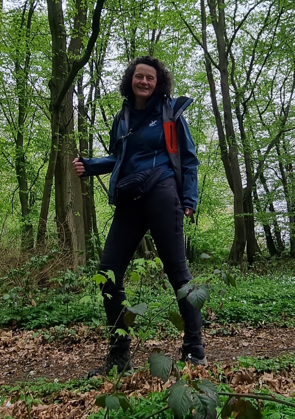Waldrunde im Nieselregen