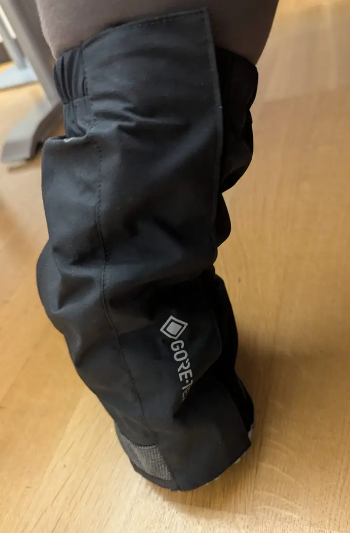 rückseite