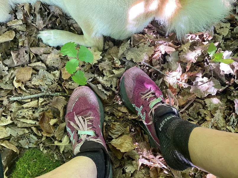 Bei heißen Temperaturen laufe ich mit dem Hund gerne durch den kühlen Wald. Mit den Sneakersocken und Trailrunningschuhen aus leichtem Meshmaterial, überhitzen die Füße nicht.