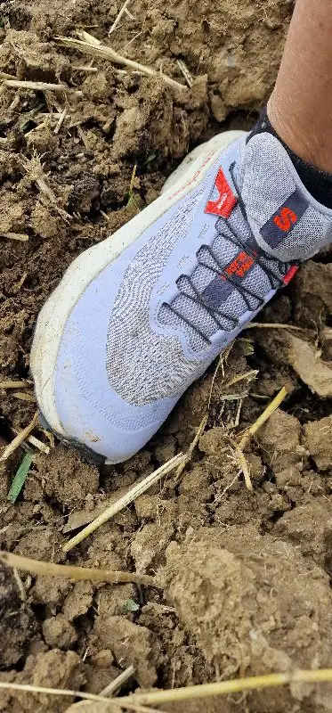 Matsch, Schlamm und Grasflecken lassen sich nicht vermeiden.