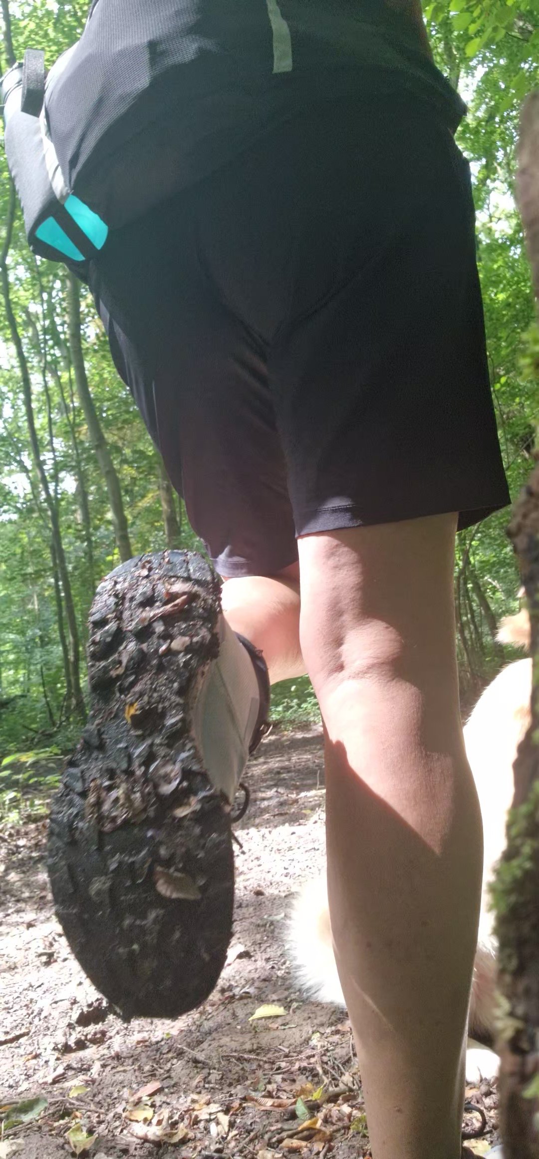 Ob im Wald, im Feld, auf Gras oder Geröll, die Sohle macht immer Spaß