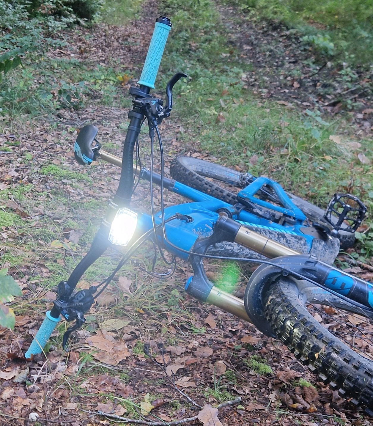 Trelock - Lighthammer Pro 250