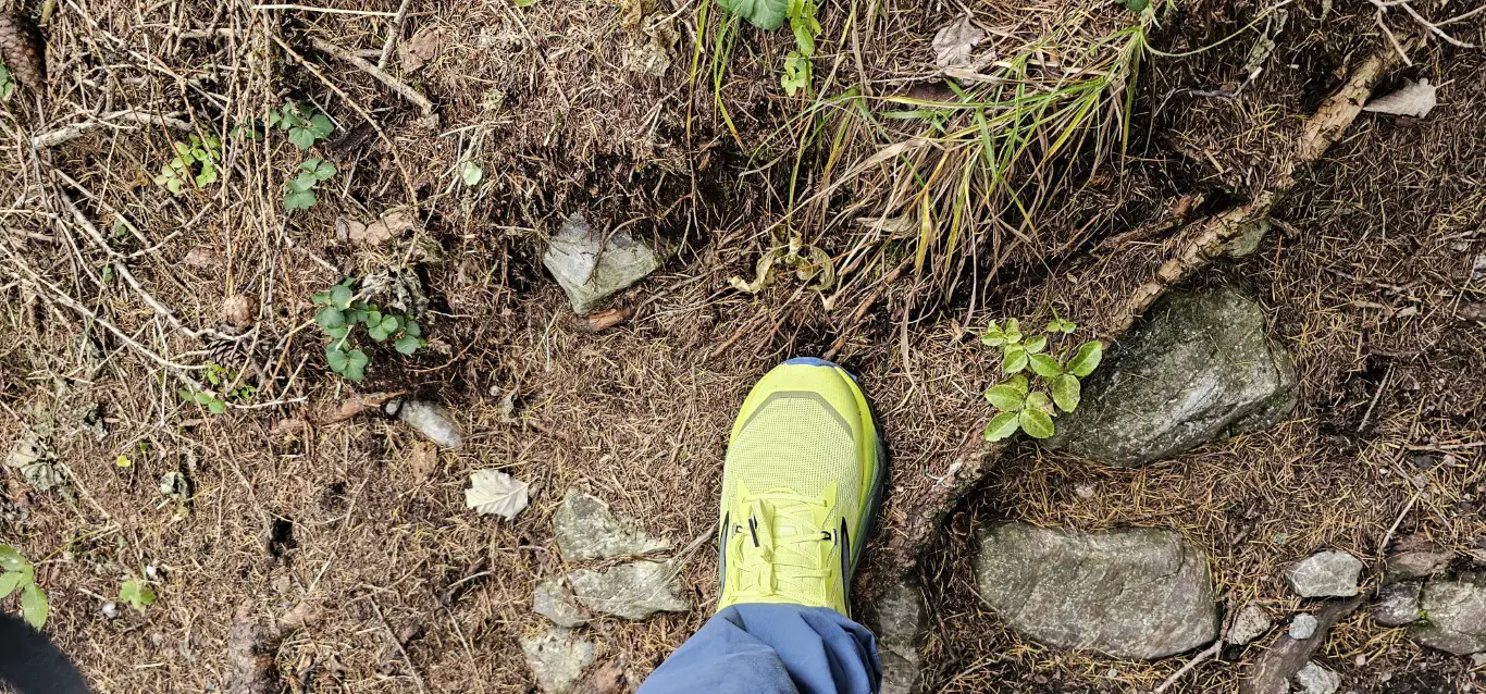 schuh in der erde