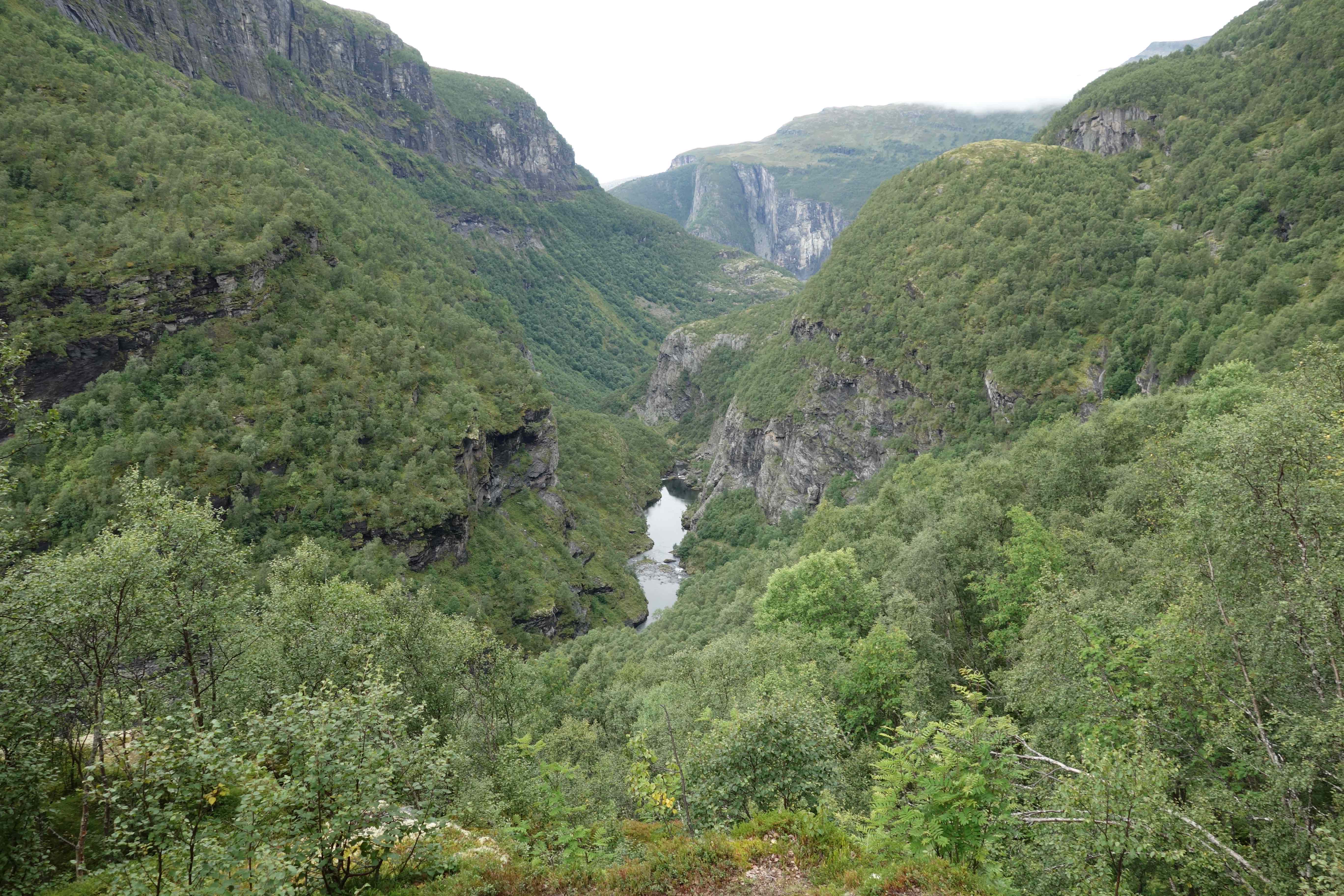 Grünes Tal mit Wasser