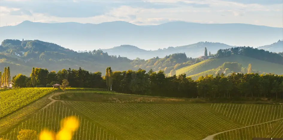 Südsteiermark Wandern