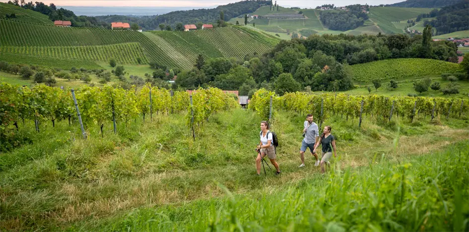 OUTSIDEstories Unterwegs-Tipp Genusswanderungen Südsteiermark, Entspannte Wanderer an den Weinfeldern in der Steiermark