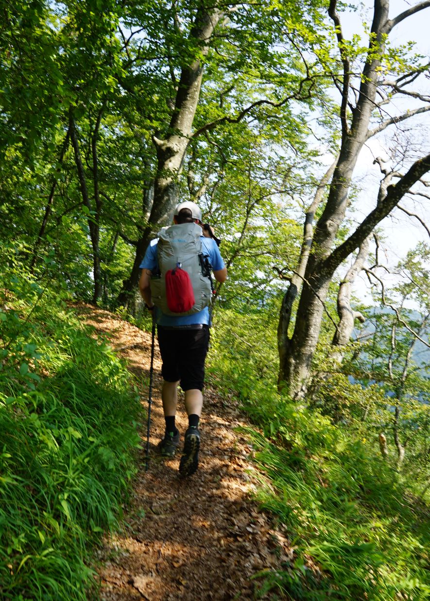 Waldweg