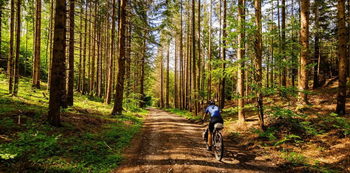Pfaffenwinkel Gravelbike