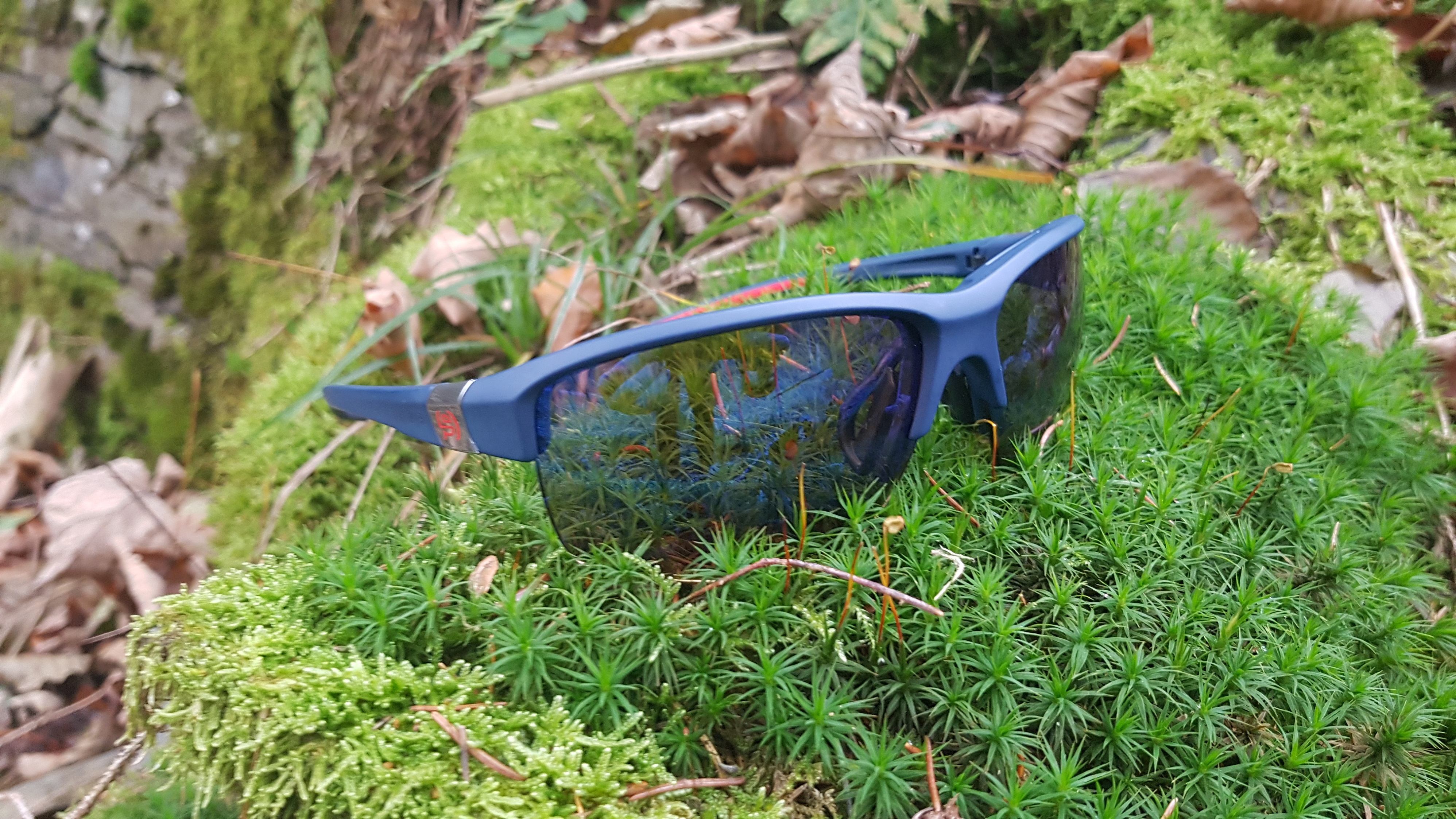 Brille im Harz auf Moos