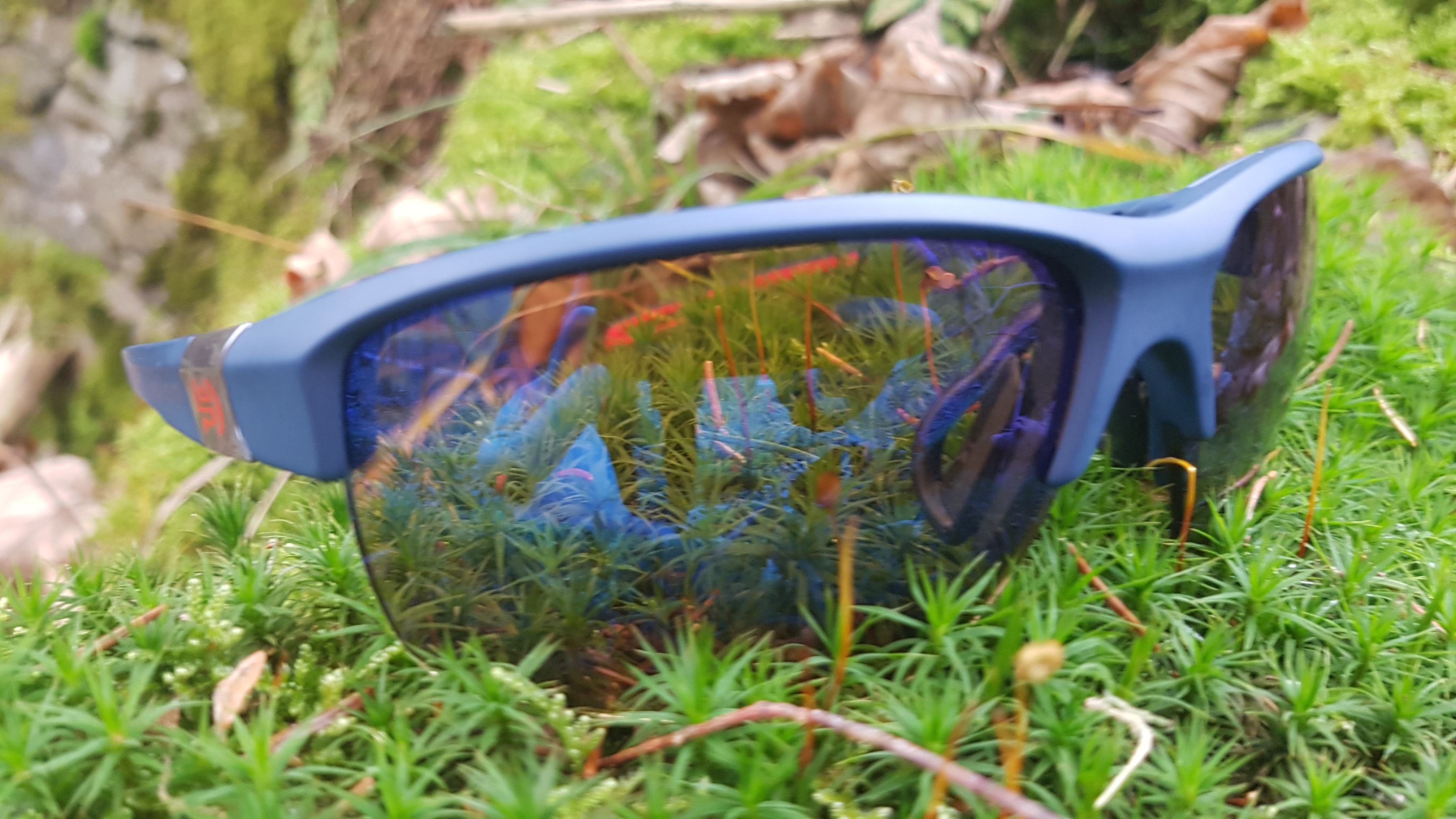 Brille im Harz auf Moos