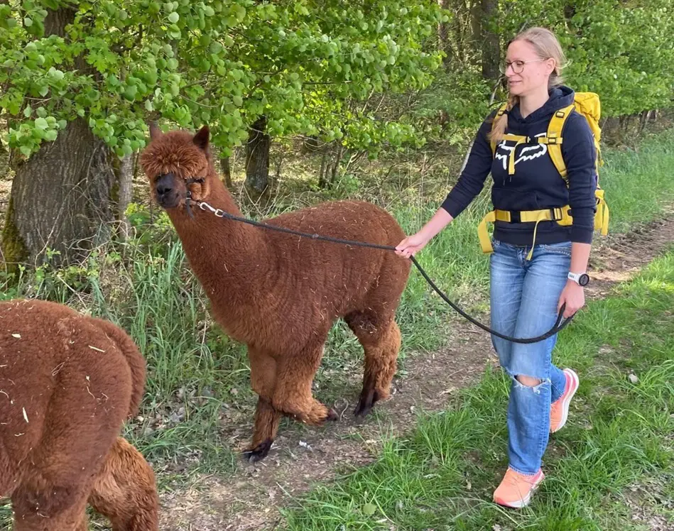 Der kompetente OUTSIDEstories-Test: Der 361° Meraki 7 i