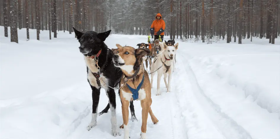 Nordkarelien, Finnland