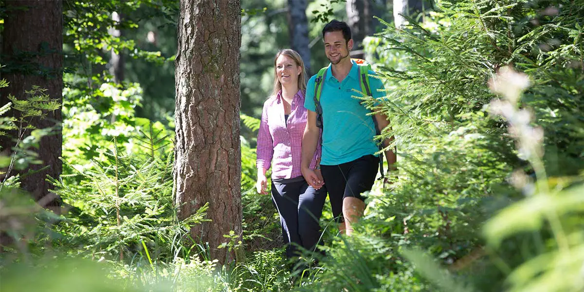 3_Wandertouren_Baiersbronn_Satteleisteig_Ulrike Klumpp-min