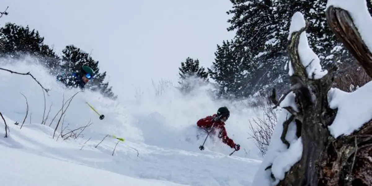 Skitour - Die Belohnung für den Aufstieg ist bestenfalls hüfttiefer Powder | Foto: ROCK'nd SNOW Berg- und Skischule, Christopher Spiegel