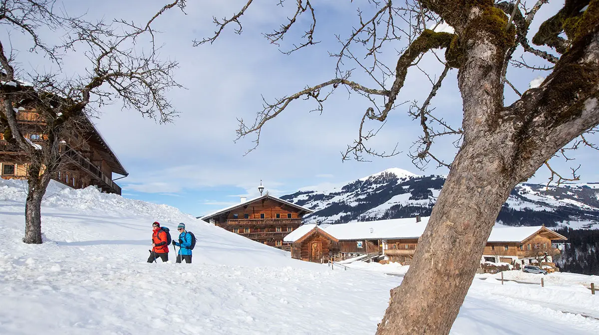 4 Tages-Winterwanderung: KAT Walk 