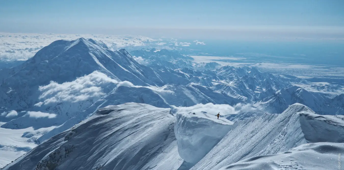 Wild Days EOFT 2025