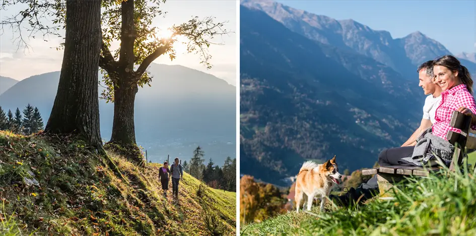 Schenna Südtirol