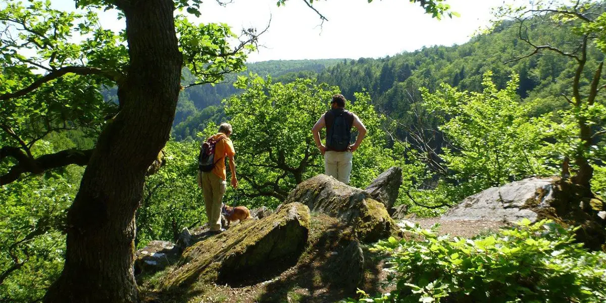6_Drachenfelsen_Wispertalsteig - komp Wisper Trails