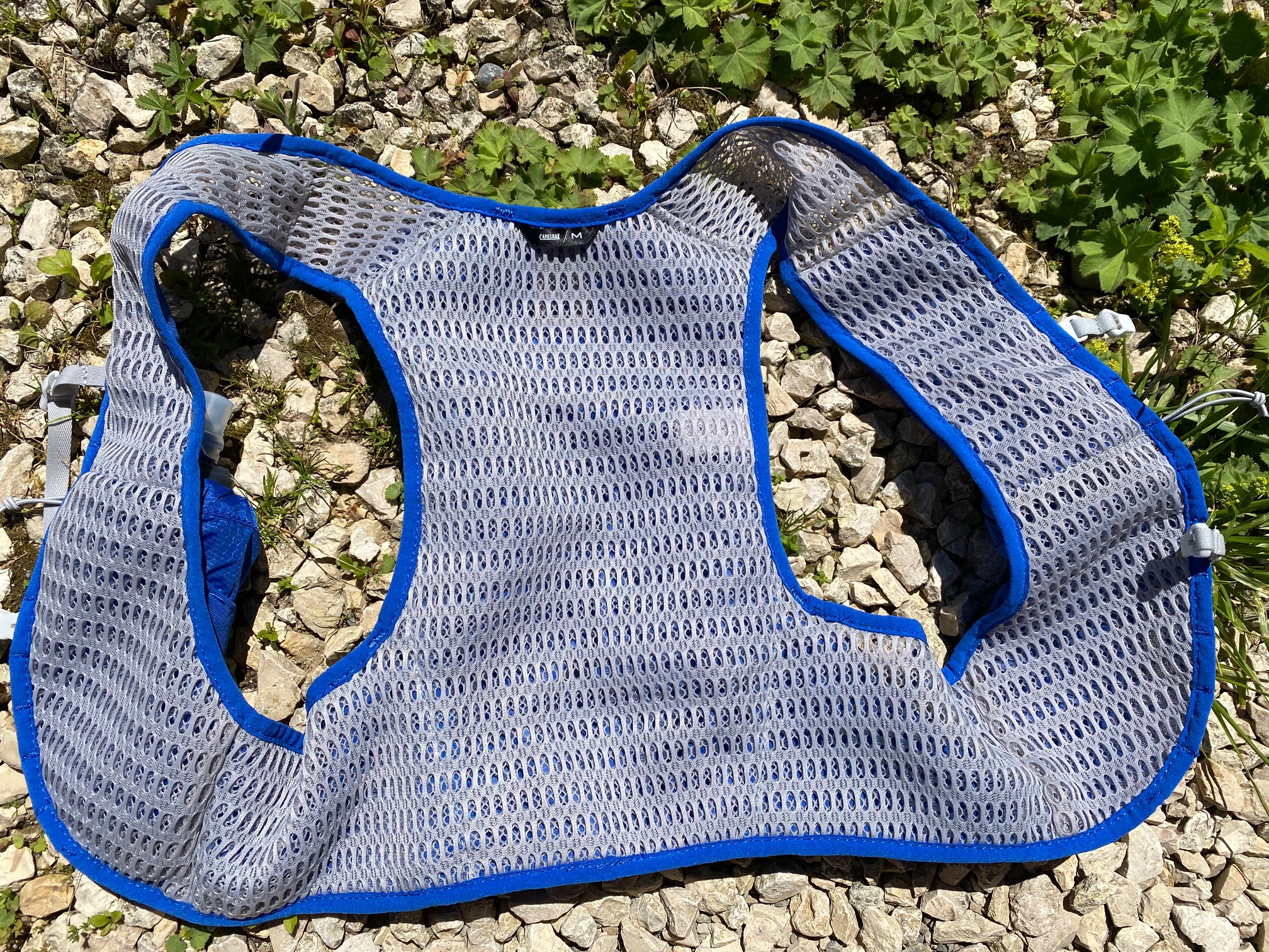 mesh1