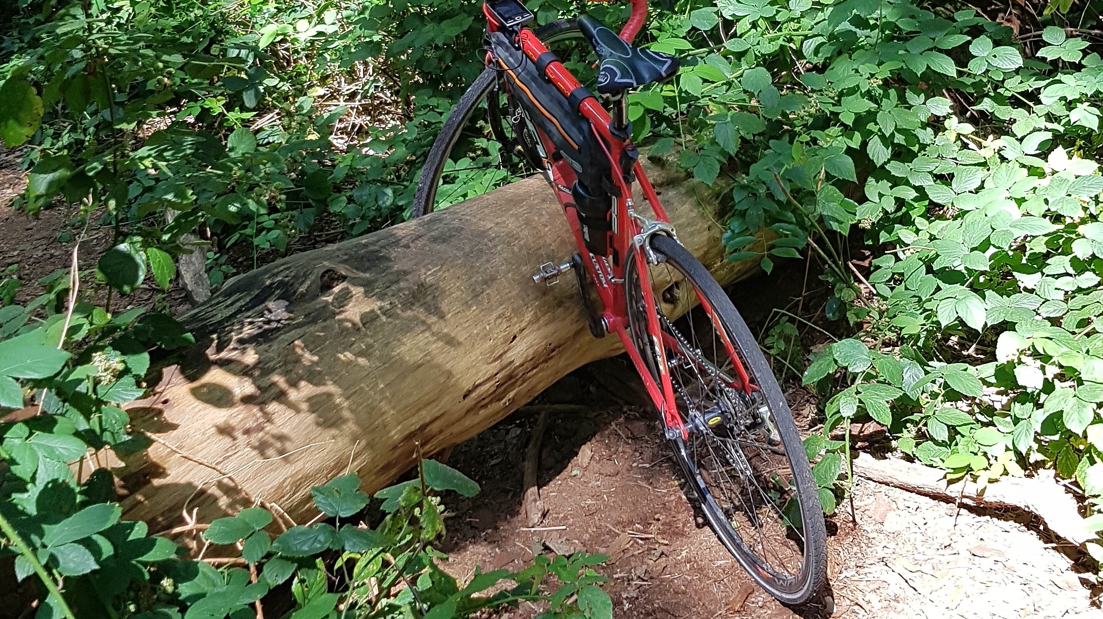 Stöckchen und Zweige im Weg, Gravelrennen