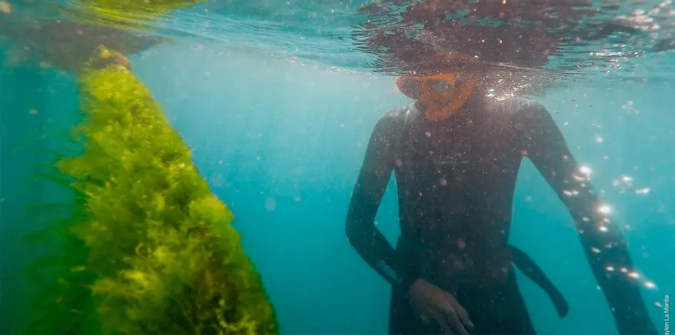 OCEAN FILM TOUR No. 11