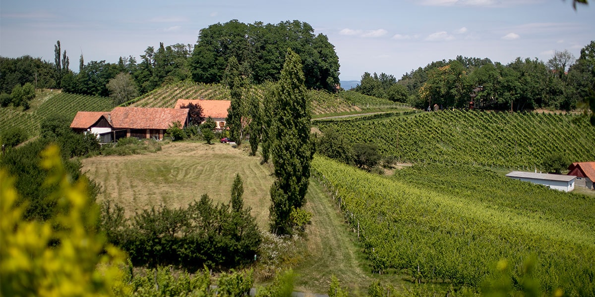 Südsteiermark Radtouren_Tom Lamm