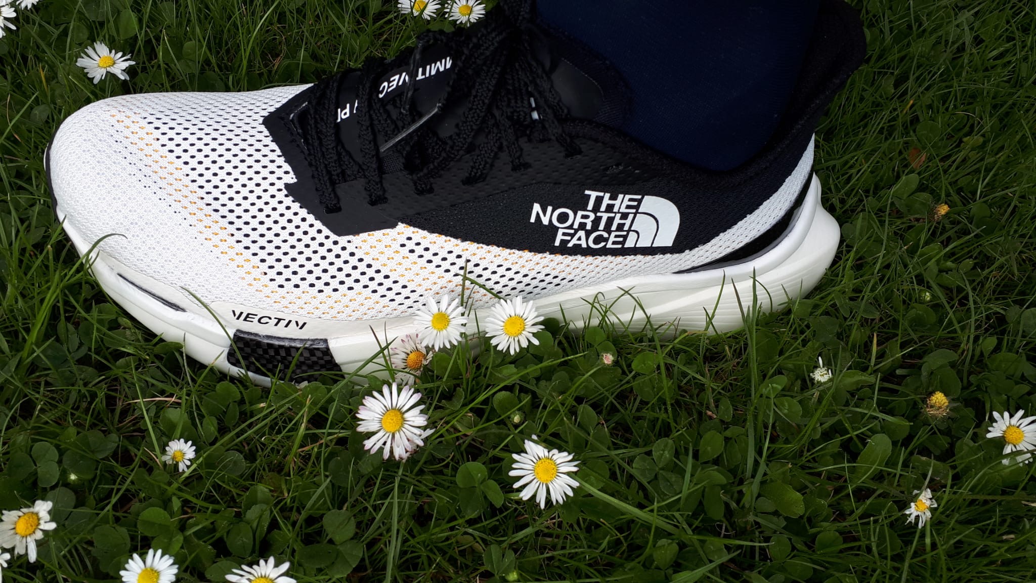 TNF