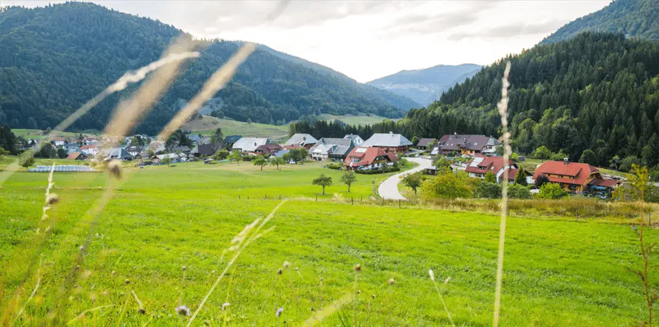 Wandern Schwarzwald