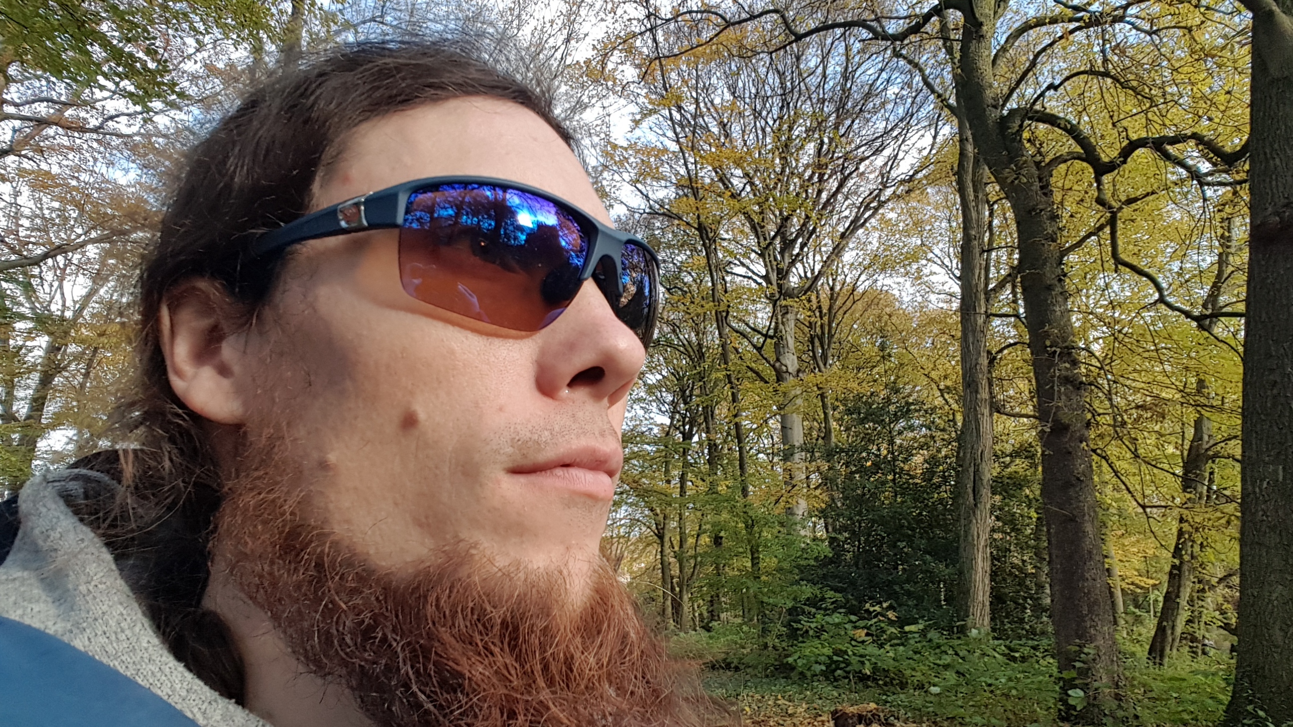 im Wald 3