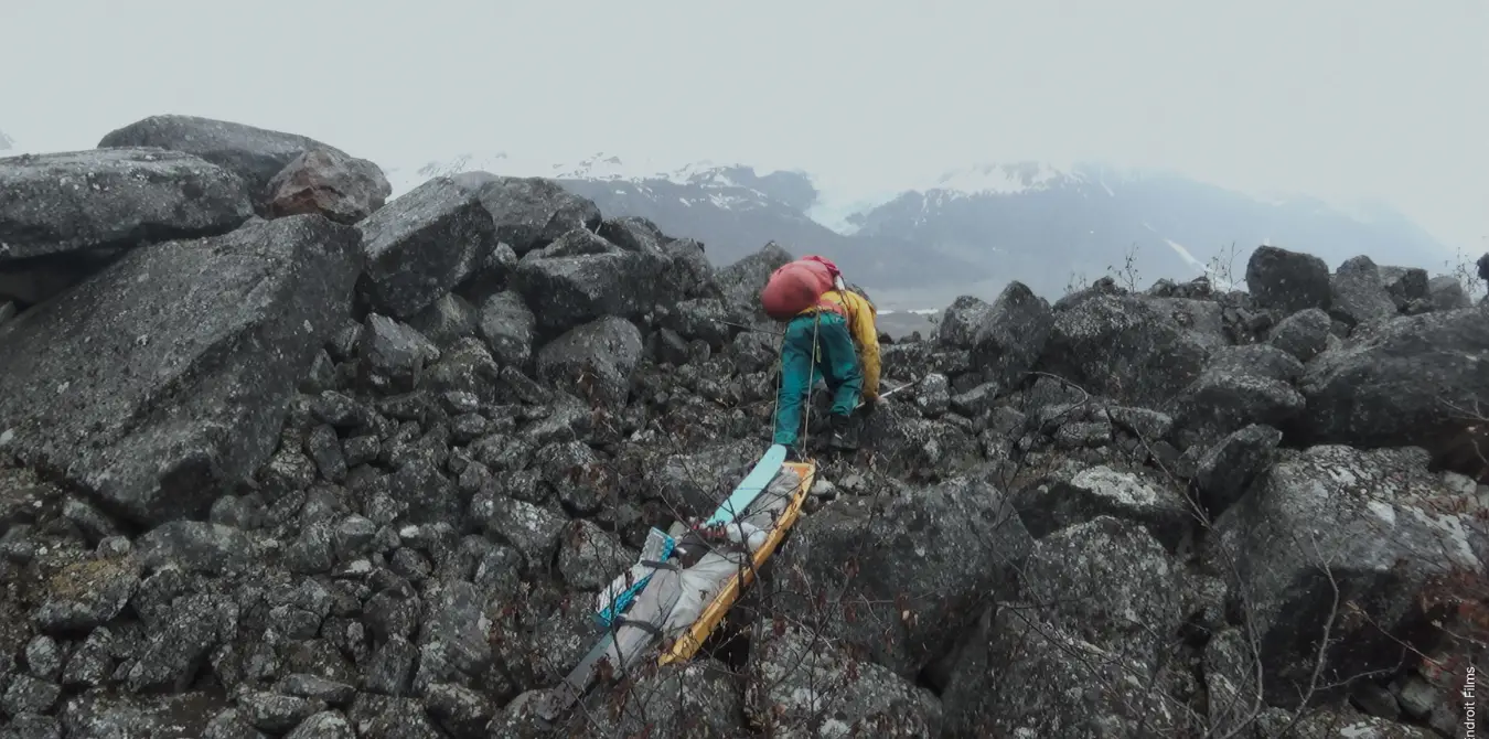 Wild Days EOFT 2025