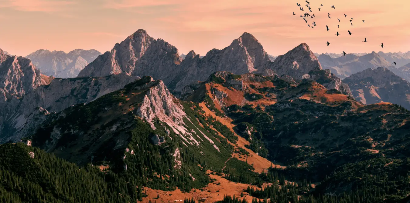 3 MTB-Routen Pfronten im Allgäu - Bayern