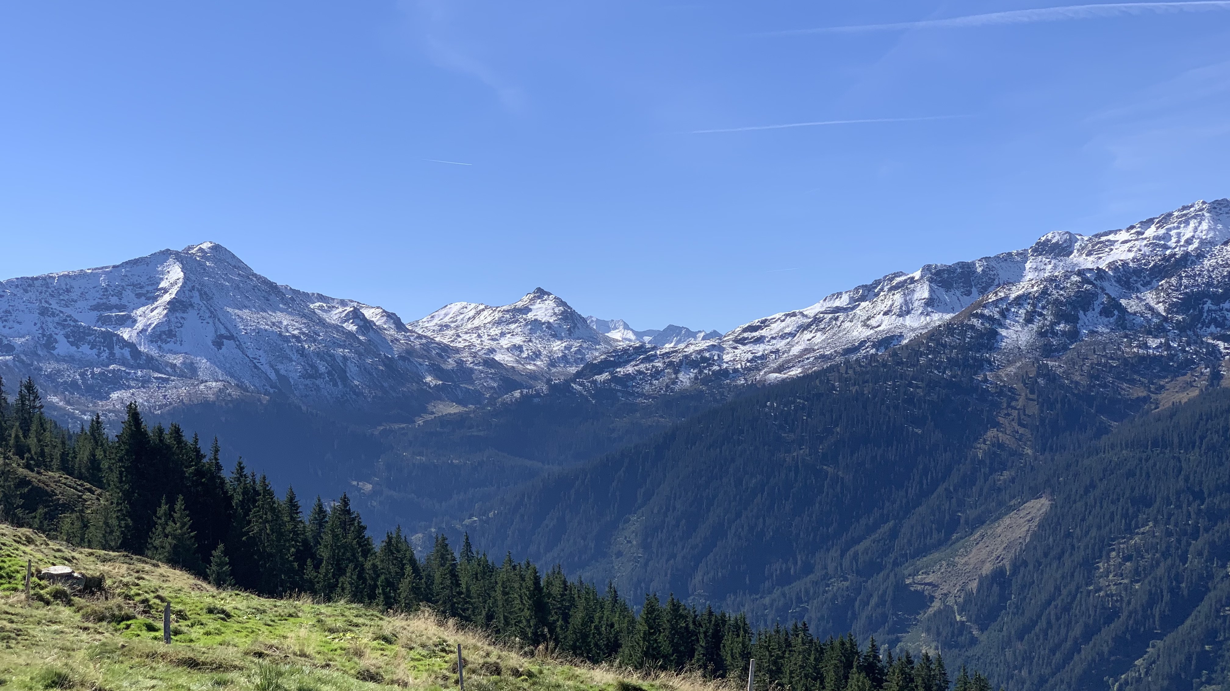 Ausblick