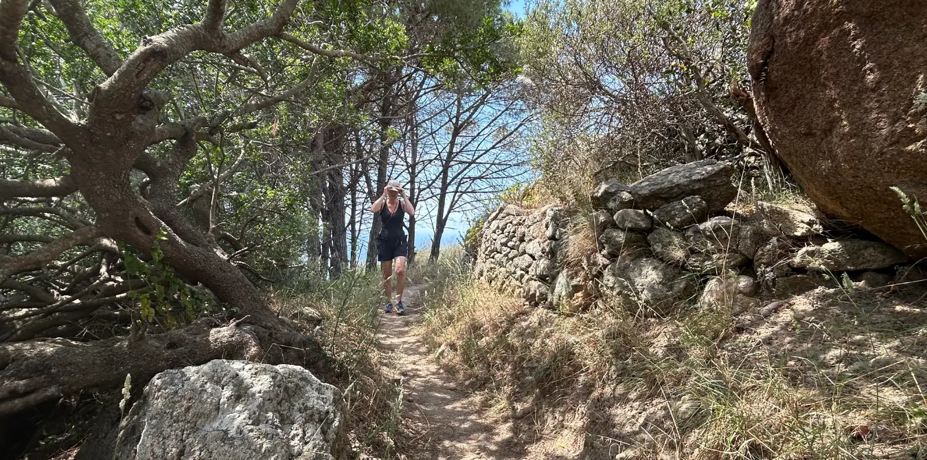 3 großartige Wanderungen auf der Insel Giglio - Italien